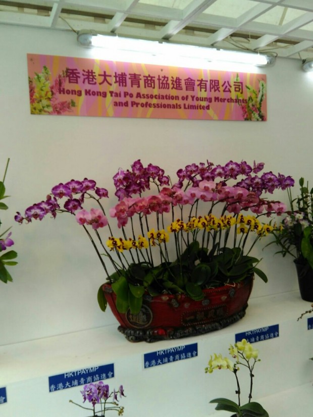 HKTPAYMP