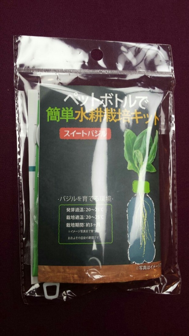 HKTPAYMP